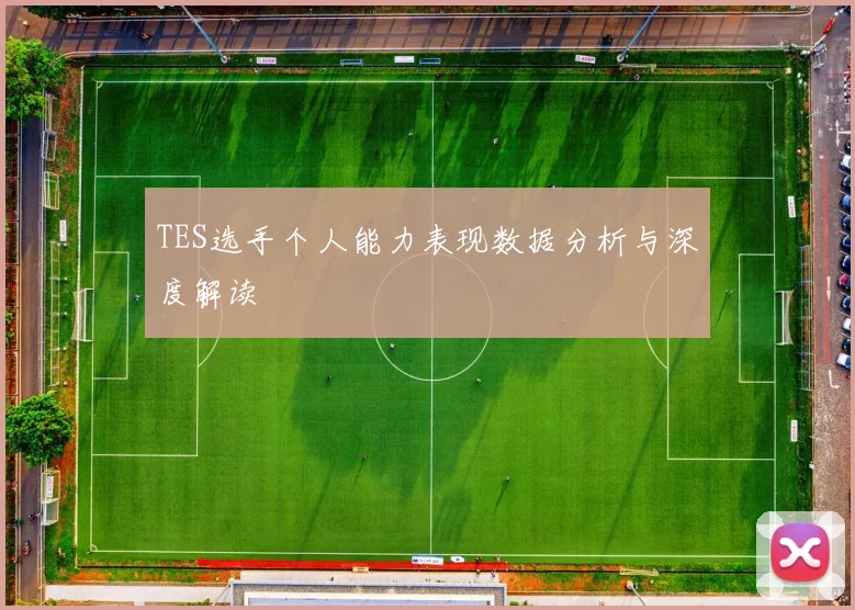 TES选手个人能力表现数据分析与深度解读
